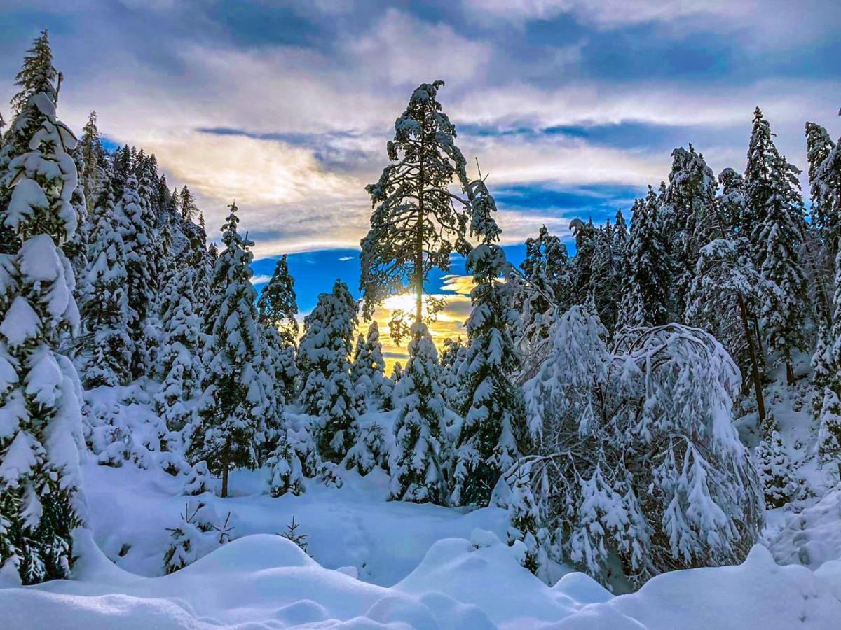 Chalet Wildalpen Exteriör bild