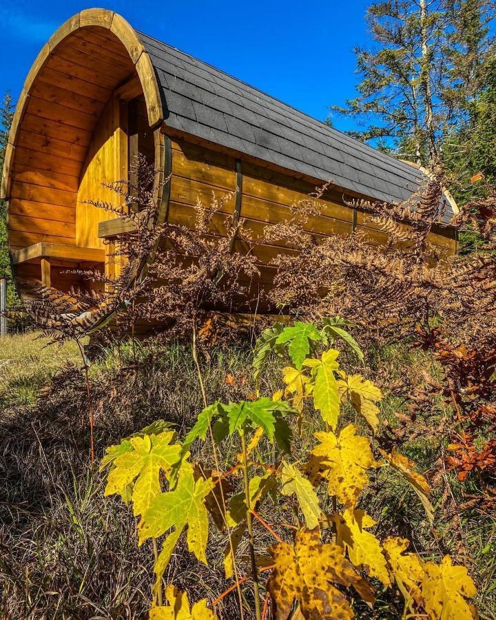 Chalet Wildalpen Exteriör bild
