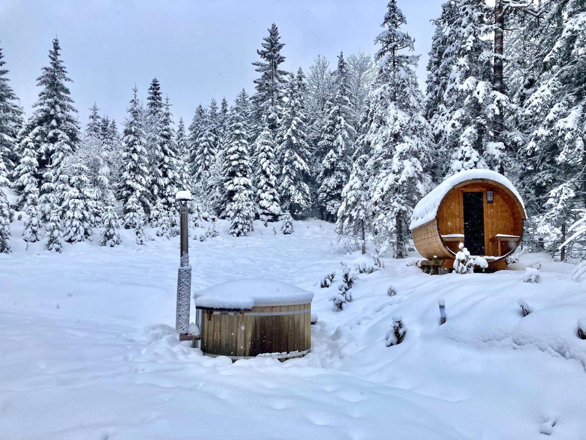 Chalet Wildalpen Exteriör bild